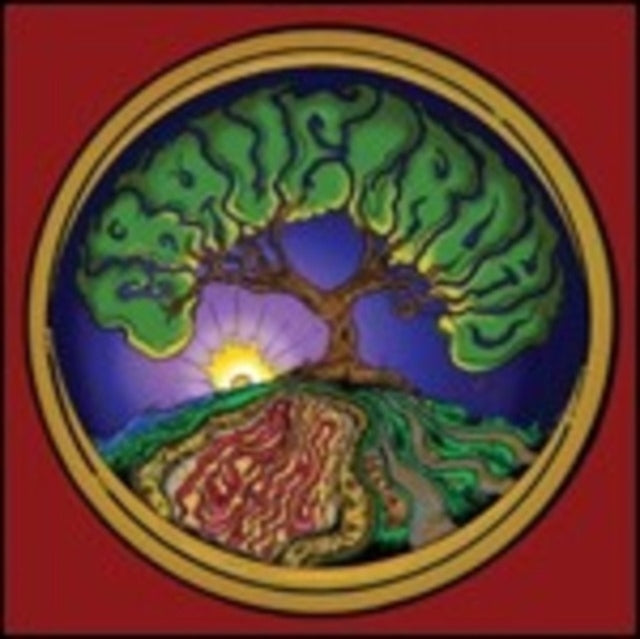 Product Image : This CD is brand new.<br>Format: CD<br>Music Style: Electric Blues<br>This item's title is: Psychedelta<br>Artist: Gravelroad<br>Barcode: 794504552829<br>Release Date: 2/14/2012