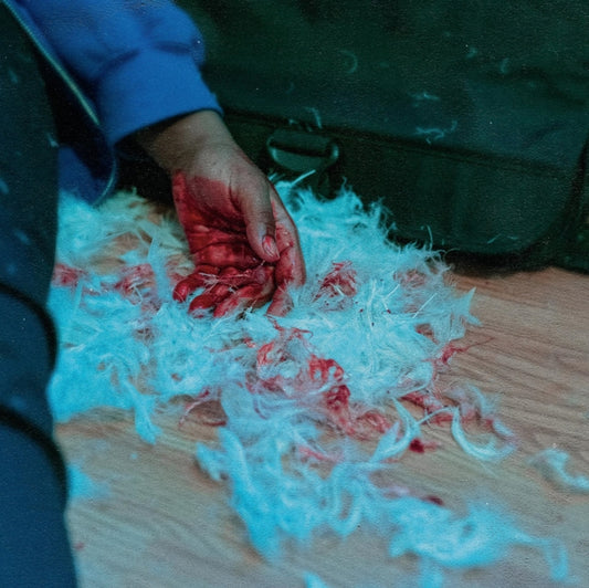 This LP Vinyl is brand new.Format: LP VinylThis item's title is: Dear Lemon House, You Ruined Me: Senior Year (Orange Pop LP Vinyl)Artist: KaonashiLabel: EQUAL VISION RECORDSBarcode: 794558043519Release Date: 10/1/2021