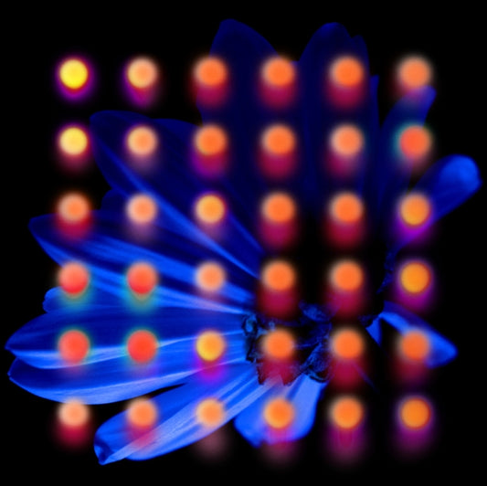 This LP Vinyl is brand new.Format: LP VinylMusic Style: Death MetalThis item's title is: NevertakeArtist: AnberlinLabel: Roadrunner RecordsBarcode: 794558053716Release Date: 5/30/2025