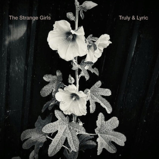This 7 Inch Vinyl is brand new.Format: 7 Inch VinylThis item's title is: Truly & LyricArtist: Strange GirlsBarcode: 795154145973Release Date: 6/28/2024