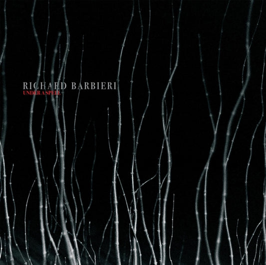 Product Image : This LP Vinyl is brand new.<br>Format: LP Vinyl<br>Music Style: Ambient<br>This item's title is: Under A Spell (2LP)<br>Artist: Richard Barbieri<br>Label: SNAPPER<br>Barcode: 802644810911<br>Release Date: 5/21/2021