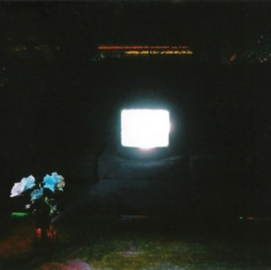 This LP Vinyl is brand new.Format: LP VinylMusic Style: KrautrockThis item's title is: Does It Look Like I'm Here? (2LP/Ectoplasm Vinyl)Artist: EmeraldsBarcode: 804297840833Release Date: 8/25/2023