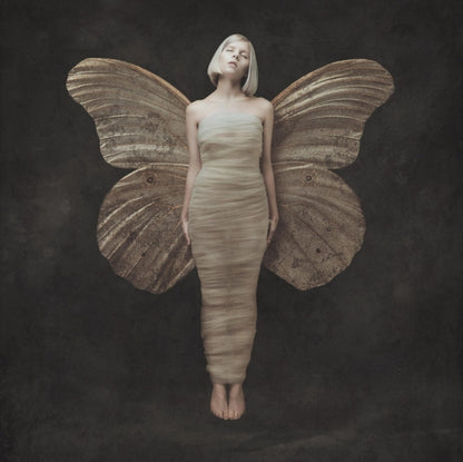 All My Demons Greeting Me As A Friend & What Happened To The Heart (Clear Vinyl/2LP)