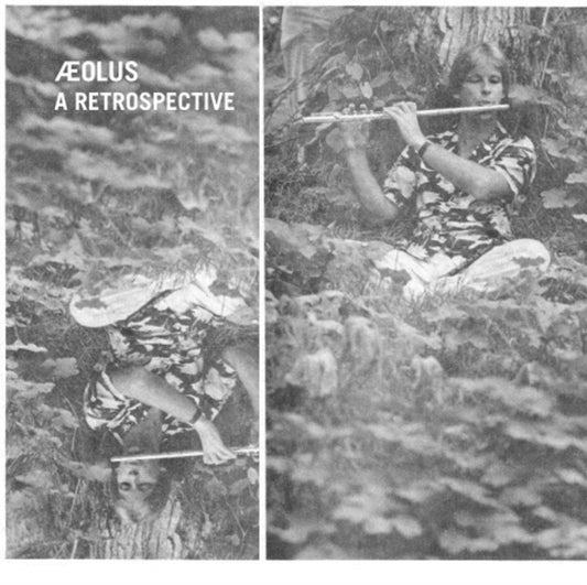 Product Image : This LP Vinyl is brand new.<br>Format: LP Vinyl<br>Music Style: Ambient<br>This item's title is: Retrospective<br>Artist: Aeolus<br>Label: ALOHA GOT SOUL<br>Barcode: 840095834513<br>Release Date: 4/14/2017