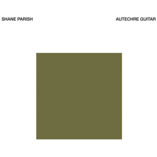 Autechre Guitar