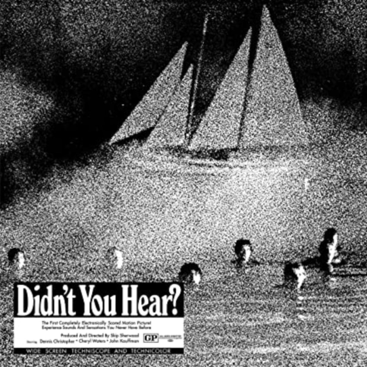 Didn't You Hear? (Silver LP Vinyl)