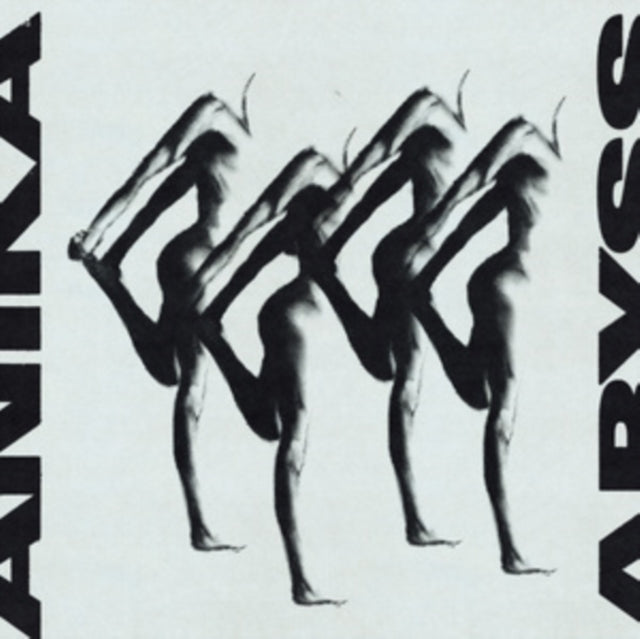 This LP Vinyl is brand new.Format: LP VinylMusic Style: IndustrialThis item's title is: AbyssArtist: AnikaLabel: Sacred Bones RecordsBarcode: 843563184004Release Date: 4/4/2025
