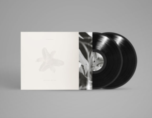 This LP Vinyl is brand new.Format: LP VinylMusic Style: FolkThis item's title is: Body Of Light / I Am A Cloud (2LP)Artist: Dead TonguesLabel: Psychic HotlineBarcode: 850056058414Release Date: 8/9/2024