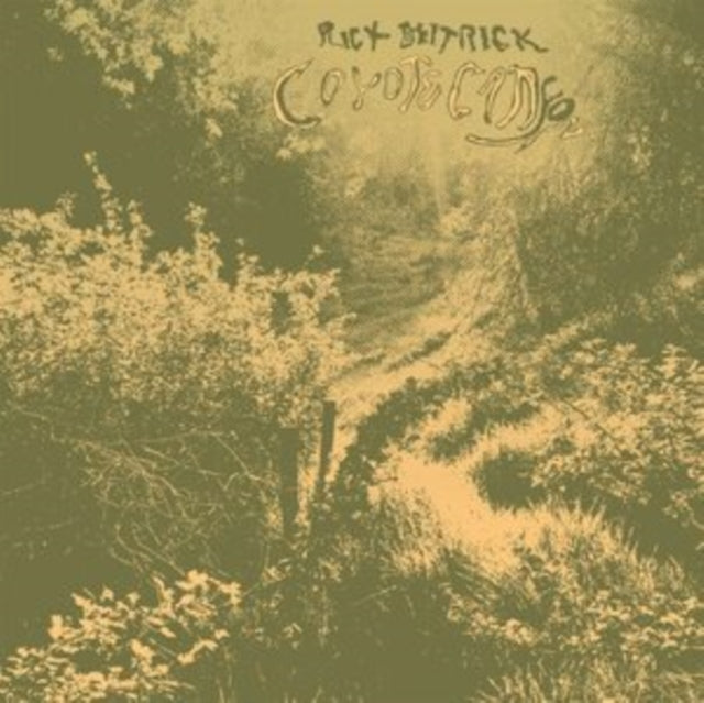 Product Image : This LP Vinyl is brand new.<br>Format: LP Vinyl<br>Music Style: Folk<br>This item's title is: Coyote Canyon<br>Artist: Rick Deitrick<br>Label: TOMPKINS SQUARE<br>Barcode: 856225005838<br>Release Date: 8/27/2021