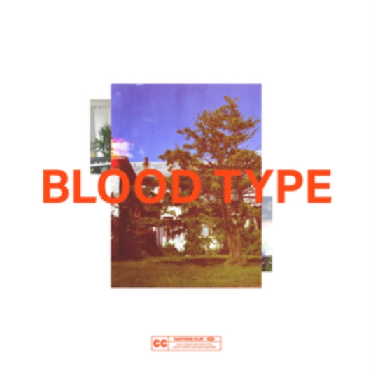 This 12 Inch Vinyl is brand new.Format: 12 Inch VinylMusic Style: DowntempoThis item's title is: Blood Type (White Vinyl)Artist: Cautious ClayLabel: Not On Label (Cautious Clay Self-released)Barcode: 859725980131Release Date: 7/26/2019