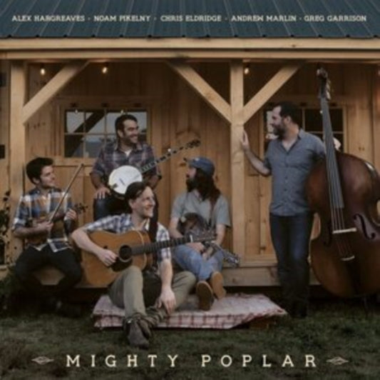 Product Image : This LP Vinyl is brand new.<br>Format: LP Vinyl<br>Music Style: Bluegrass<br>This item's title is: Mighty Poplar<br>Artist: Mighty Poplar<br>Label: FREE DIRT RECORDS<br>Barcode: 877746011115<br>Release Date: 5/12/2023