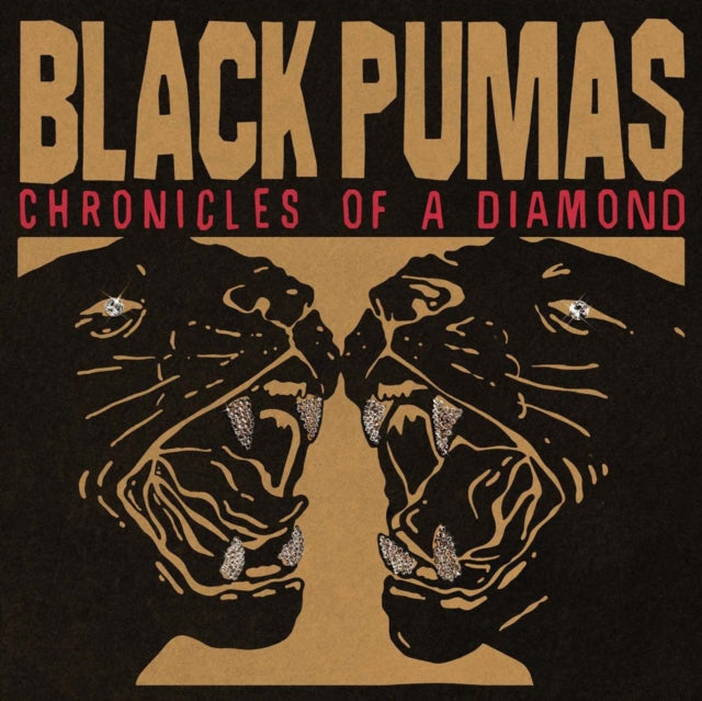 This is a 2 CD SKU bundle.
1.This CD is brand new.Format: CDMusic Style: PsychedelicThis item's title is: Black Pumas (Deluxe 2CD)Artist: Black PumasLabel: ATO RECORDSBarcode: 880882425326Release Date: 10/9/2020
2.This CD is brand new.