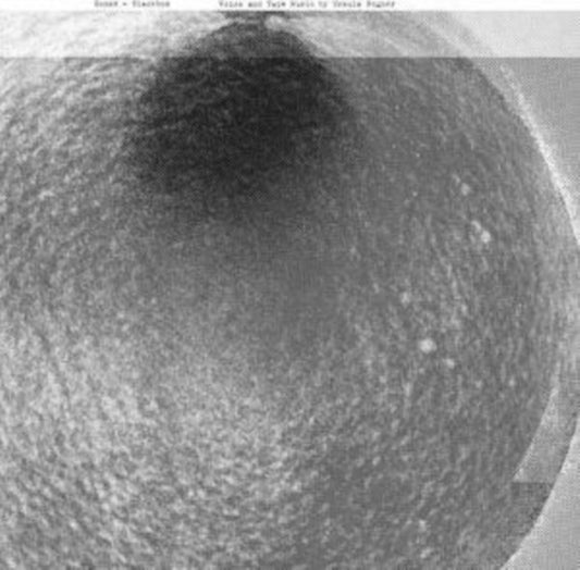 This LP Vinyl is brand new.Format: LP VinylMusic Style: AbstractThis item's title is: Sonne = Blackbox (2022 Repress)Artist: Ursula BognerLabel: FAITICHEBarcode: 880918018010Release Date: 4/8/2022