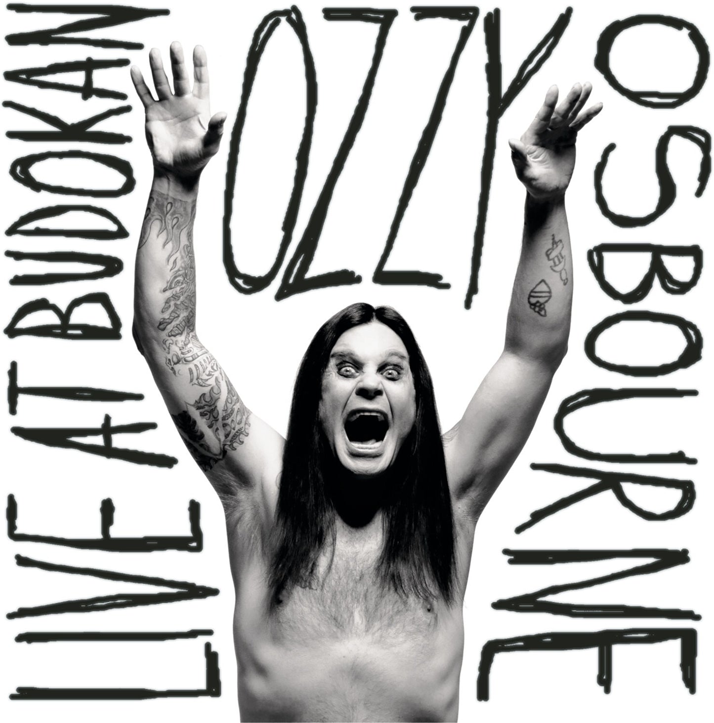 Ordinary Man (Jewel Case) & Live At Budokan