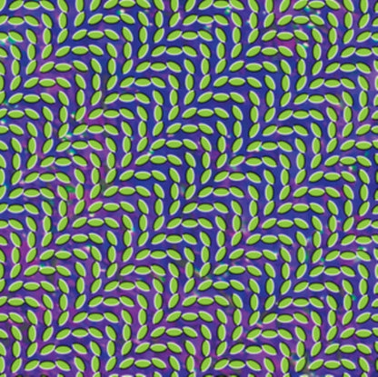 This is a 2 LP Vinyl SKU bundle.
1.This LP Vinyl is brand new.Format: LP VinylThis item's title is: Merriweather Post Pavilion (15Th Anniversary) (Deluxe/Bluish & Translucent Green Vinyl/2LP)Artist: Animal CollectiveBarcode: 887828021635Release Date: 6/28/2024
2.This LP Vinyl is brand new.