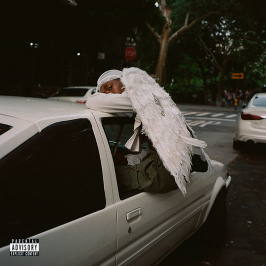 Negro Swan (2LP/Dl Card)