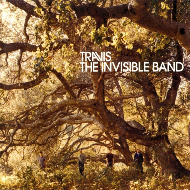 Invisible Band (20Th Anniversary)