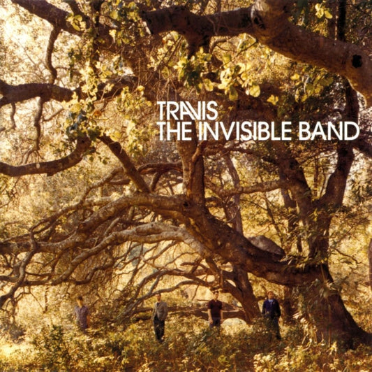 Invisible Band (20Th Anniversary/Deluxe/2CD/Clear Vinyl/2LP)