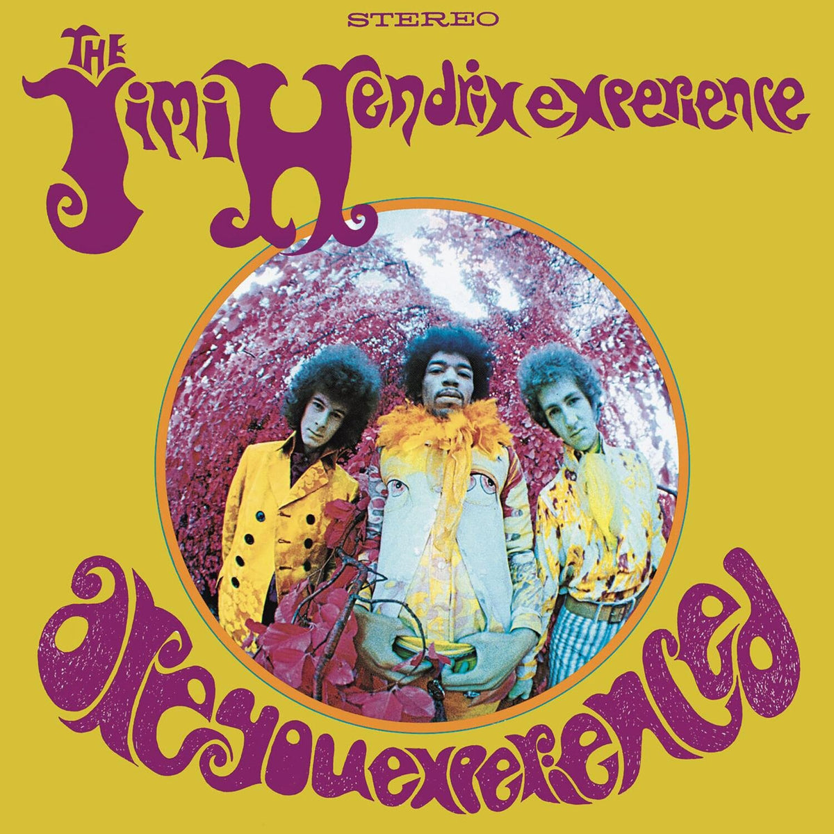 Live At Berkeley (2LP/Gatefold) & Are You Experienced (180G)