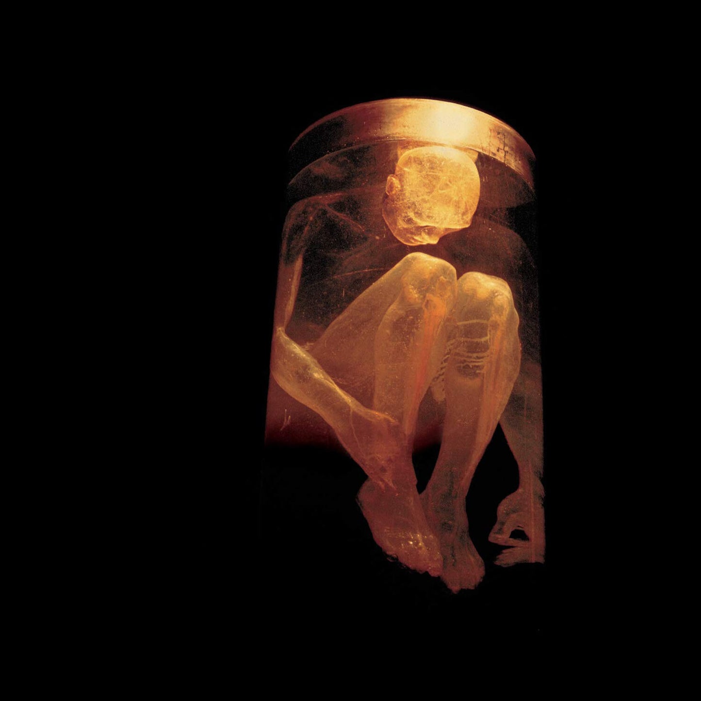 Greatest Hits & Unplugged & Live & Nothing Safe: Best Of The Box & Alice In Chains
