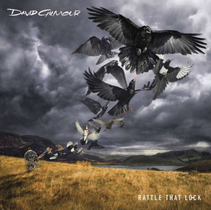 David Gilmour & Luck & Strange & Live In Gdansk & Rattle That Lock