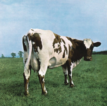 Delicate Sound Of Thunder (2CD) & Atom Heart Mother