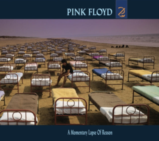 Momentary Lapse Of Reason & Division Bell