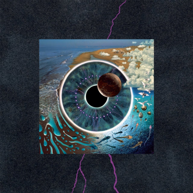This is a 8 LP Vinyl SKU bundle.
1.This LP Vinyl is brand new.Format: LP VinylMusic Style: Prog RockThis item's title is: Animals (2018 Remix) (180G/LP/CD/Blu-Ray/DVD)Artist: Pink FloydLabel: PINK FLOYD RECORDS / LEGACYBarcode: 190758768717Release Date: 10/7/2022
2.