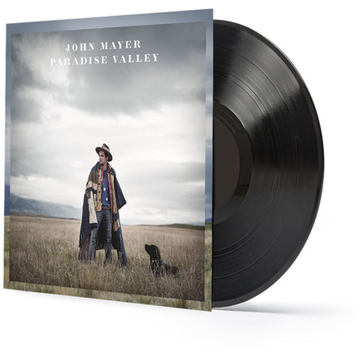 Continuum (2LP/180G/Revised Standard Package) & Paradise Valley (LP/CD/180G) & Search For Everything (2LP/180G/Dl Code)