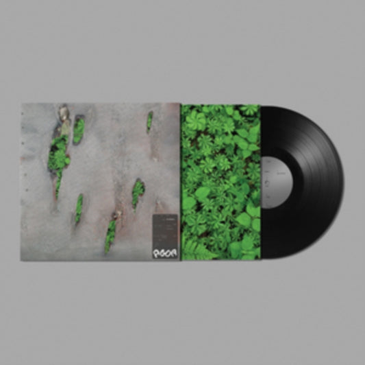 This LP Vinyl is brand new.Format: LP VinylMusic Style: ExperimentalThis item's title is: AgorArtist: KorelessLabel: YOUNGBarcode: 889030021410Release Date: 7/9/2021