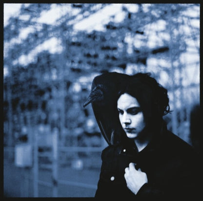 No Name & Blunderbuss