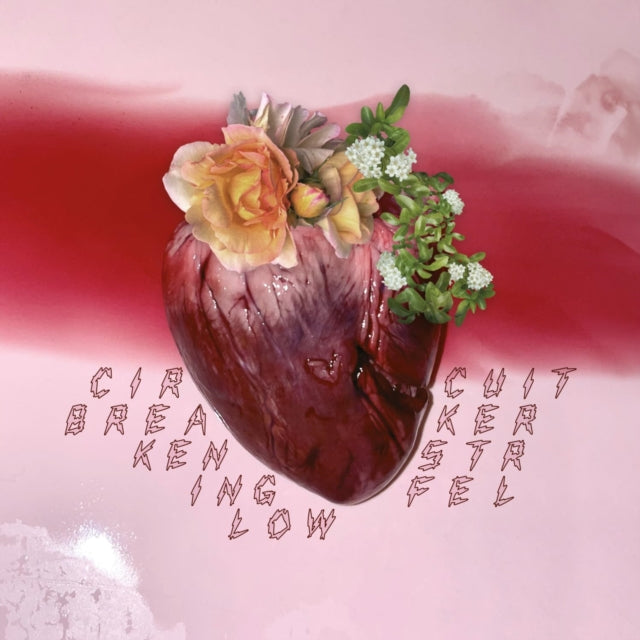Ken Stringfellow - Circuit Breaker - LP Vinyl