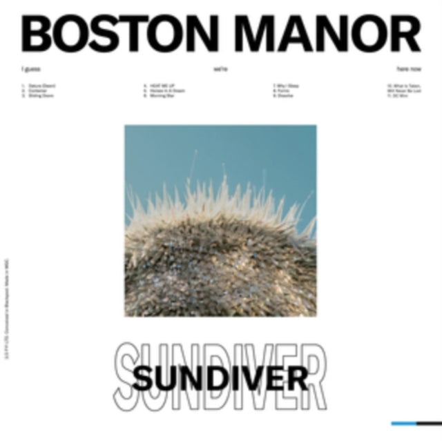 Sundiver (White Sky Blue Grey Splatter LP Vinyl)