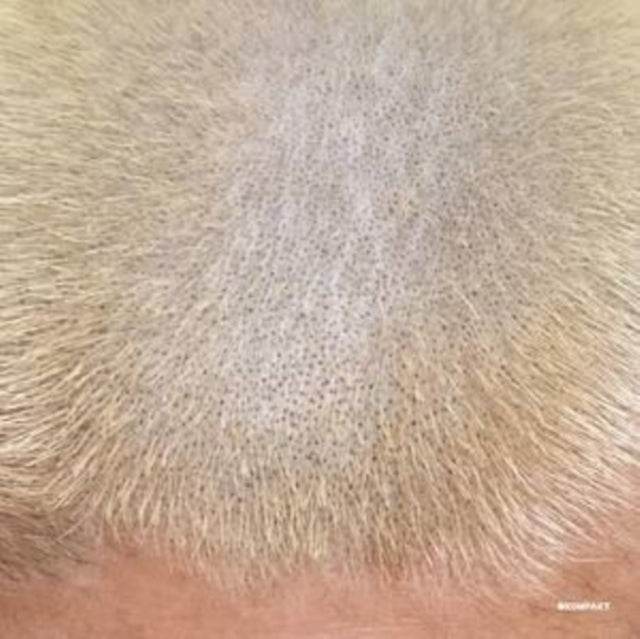 This 12 Inch Vinyl is brand new.Format: 12 Inch VinylMusic Style: TechnoThis item's title is: Prometal Fan Decor Only ProductArtist: BarntLabel: KOMPAKTBarcode: 4250101432842Release Date: 4/22/2022