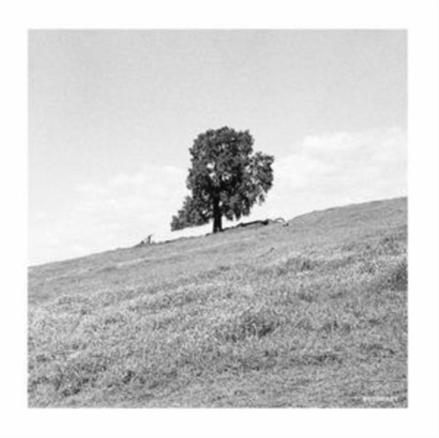 This LP Vinyl is brand new.Format: LP VinylMusic Style: AmbientThis item's title is: CorneredArtist: Blank GlossLabel: KOMPAKTBarcode: 4250101446795Release Date: 3/17/2023