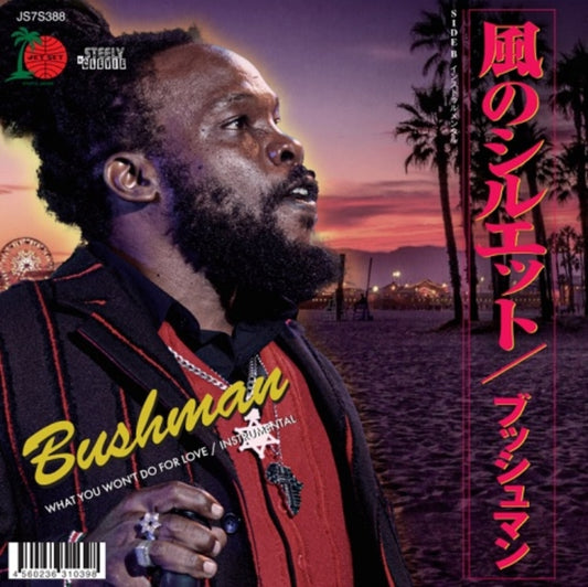Product Image : This 7 inch Vinyl is brand new.<br>Format: 7 inch Vinyl<br>Music Style: Reggae<br>This item's title is: What You Won't Do For Love<br>Artist: Bushman<br>Label: JET SET (3)<br>Barcode: 4560236310398<br>Release Date: 12/8/2023