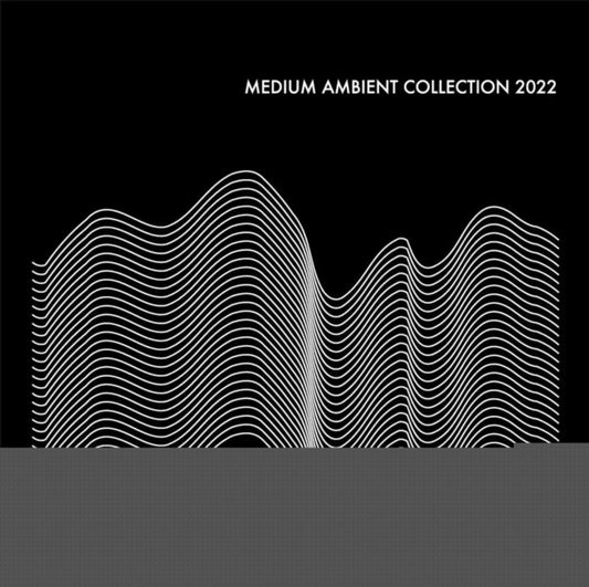 Medium Ambient Collection 2022 (2LP)