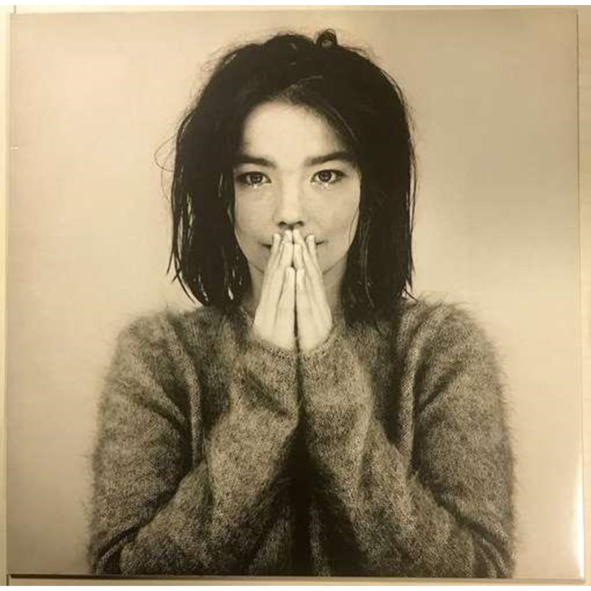 Bjork - Debut & Bastards: Remix - LP Vinyl Bundle