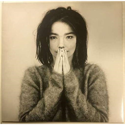 Bjork - Debut & Bastards: Remix - LP Vinyl Bundle