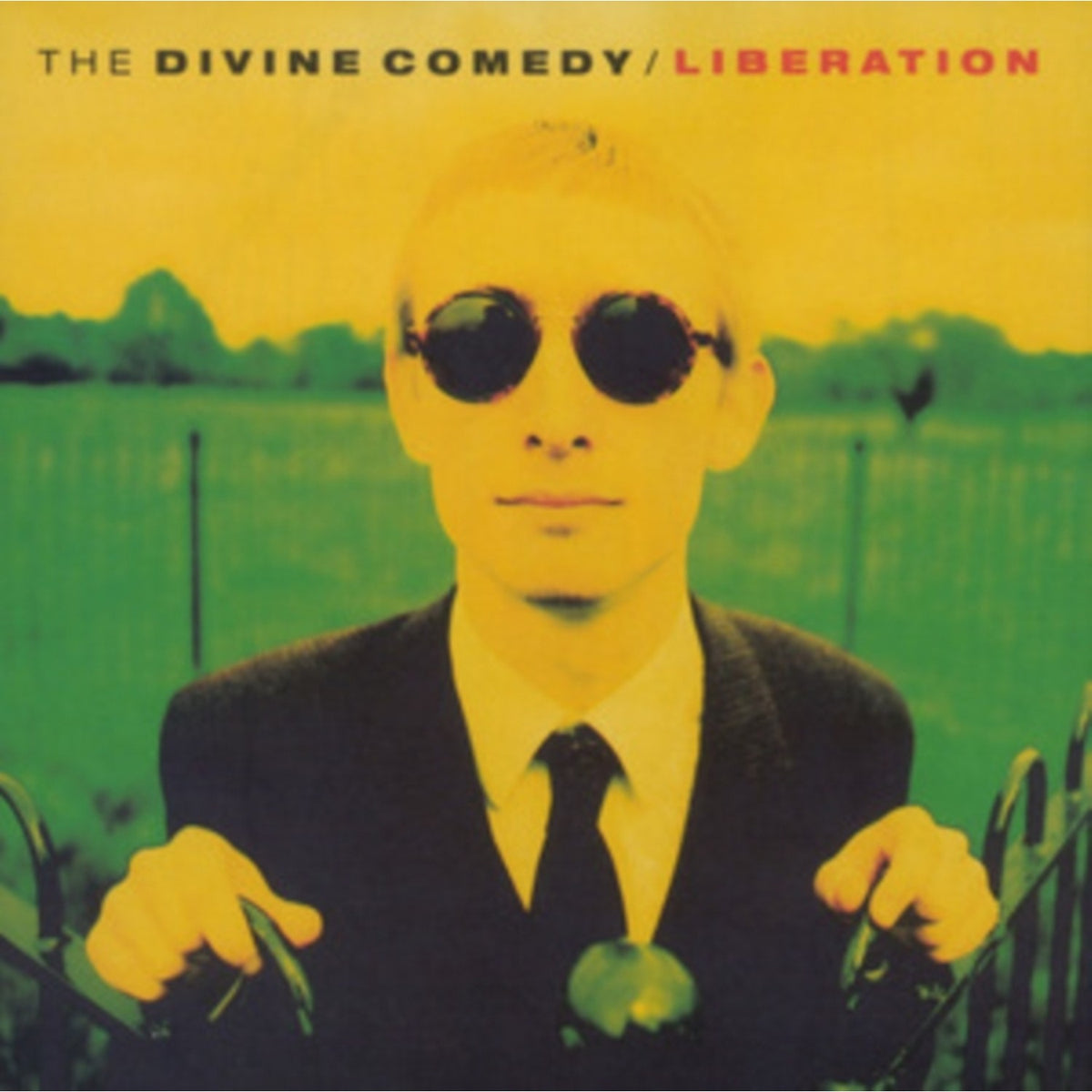 Liberation & Charmed Life - The Best Of The Divine Comedy