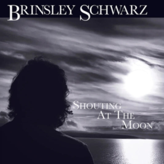Shouting At The Moon