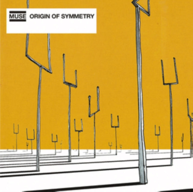 Origin Of Symmetry & Absolution