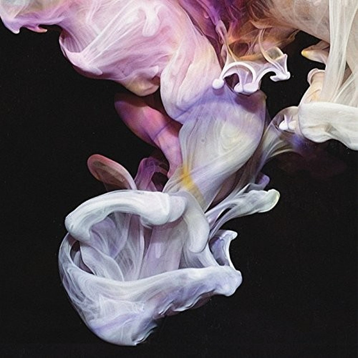 Murmurations (Gatefold/Dl Code)