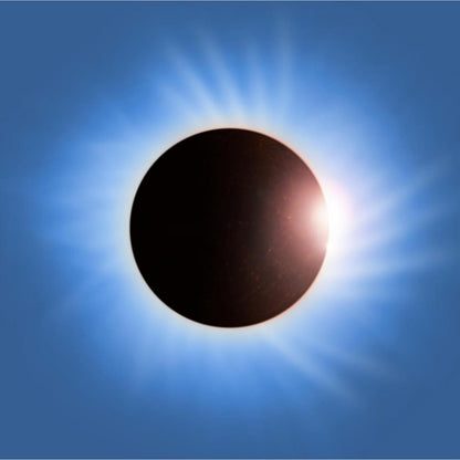 Black Market Music & Battle For The Sun