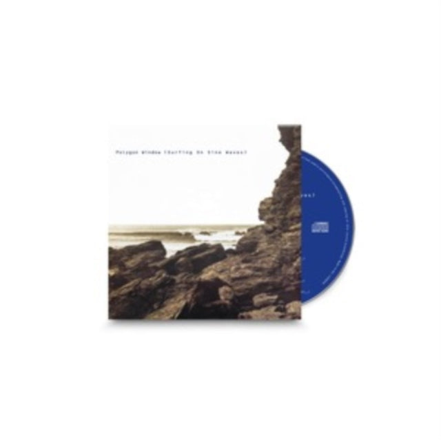 Surfing On Sine Waves (Expanded Edition)
