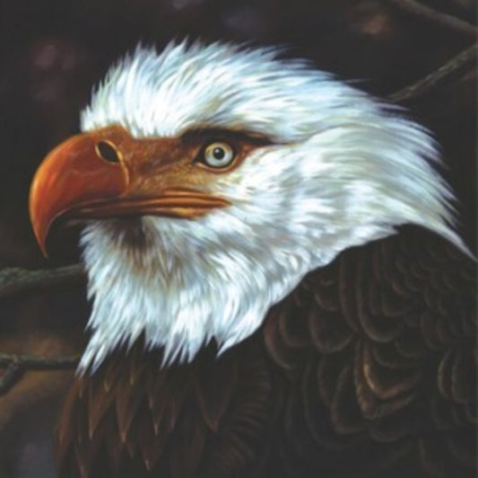 This LP Vinyl is brand new.Format: LP VinylThis item's title is: Hawk Is Howling (White Vinyl/Reissue/2LP)Artist: MogwaiBarcode: 5400863133771Release Date: 11/3/2023