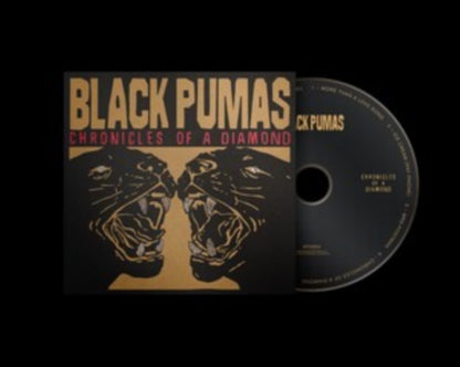 This is a 3 CD SKU bundle.
1.This CD is brand new.Format: CDMusic Style: PsychedelicThis item's title is: Black PumasArtist: Black PumasBarcode: 5400863011550Release Date: 6/21/2019
2.This CD is brand new.