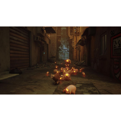 This is brand new.Lost, alone and separated from family, a stray cat must untangle an ancient mystery to escape a long-forgotten city. Stray is a third-person cat adventure game set amidst the detailed, neon-lit alleys of a decaying cybercity and the murky environments of its seedy underbelly.