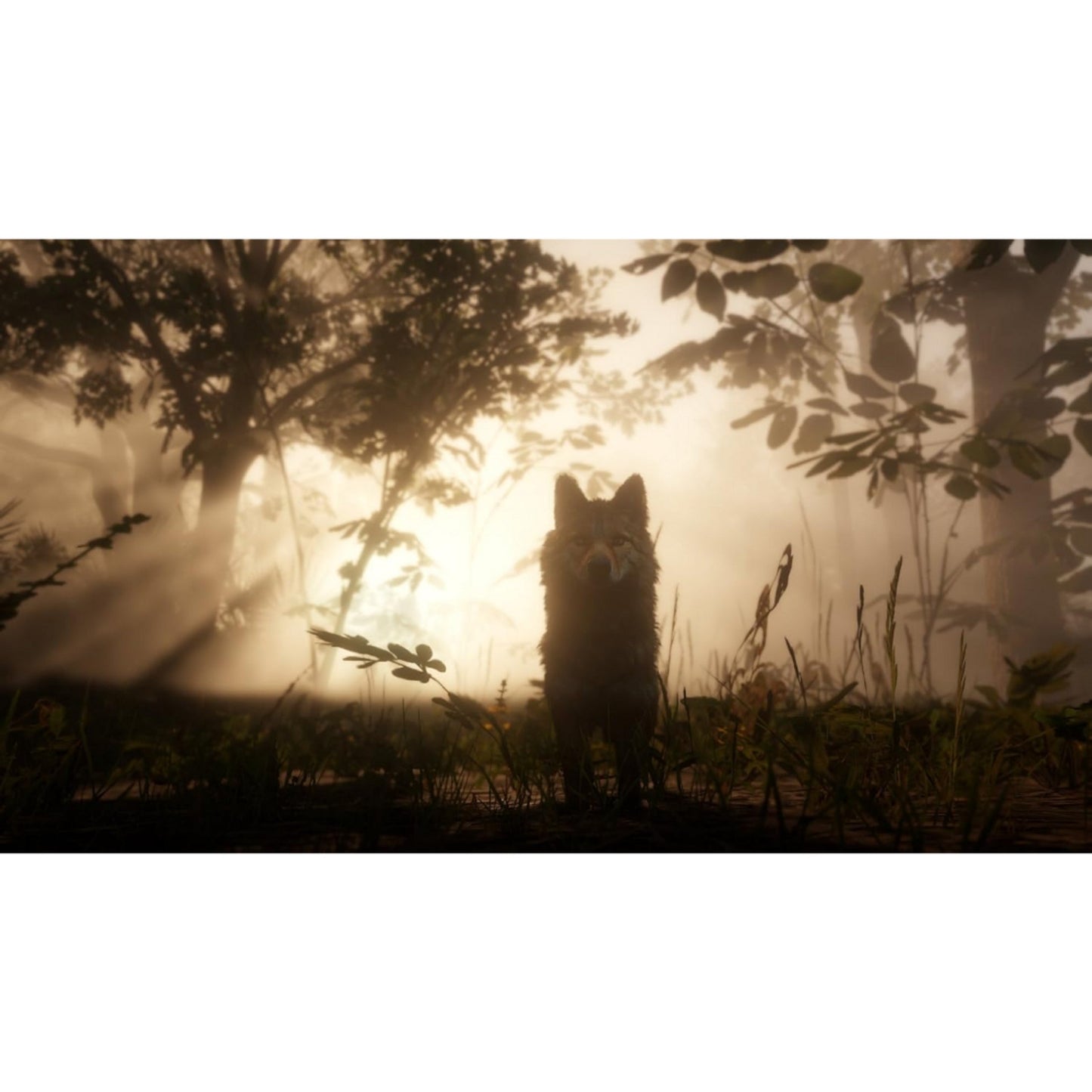 Red Dead Redemption II - PS4