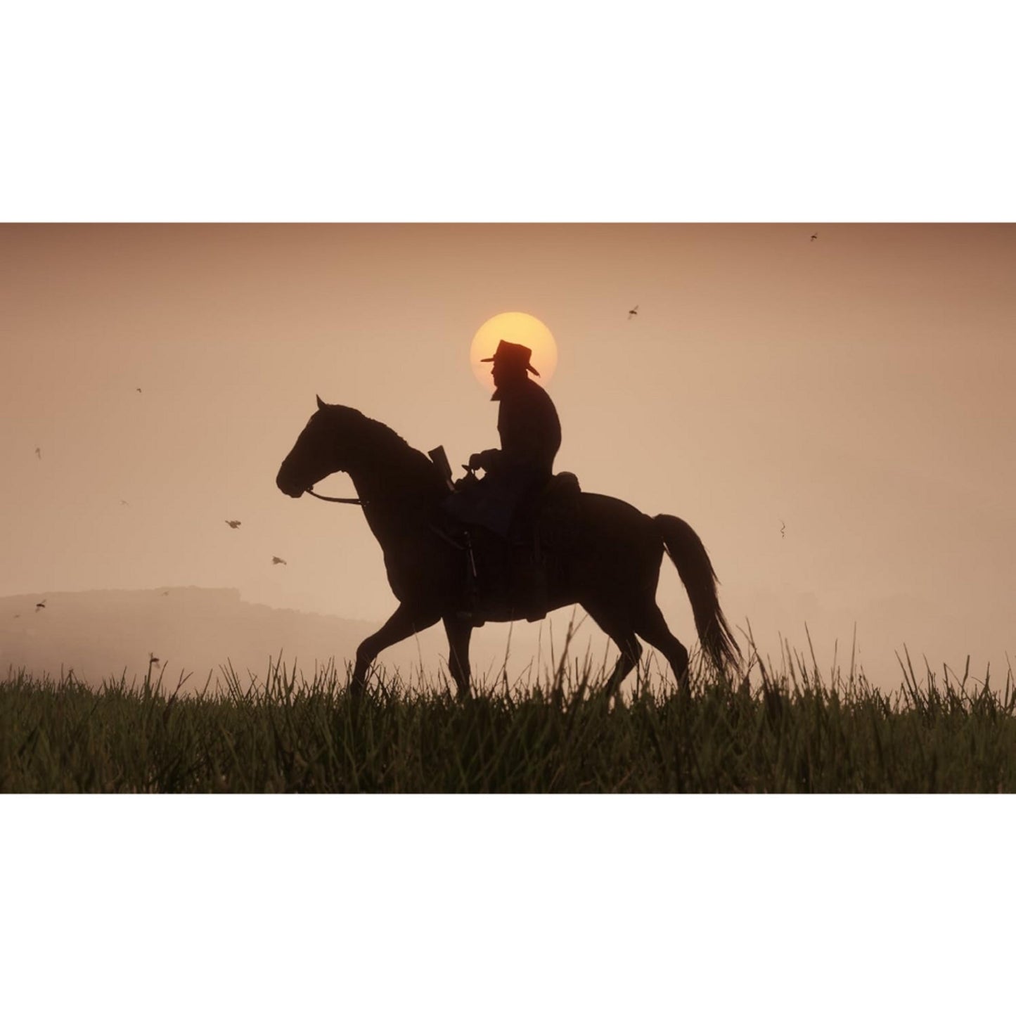 Red Dead Redemption II - PS4